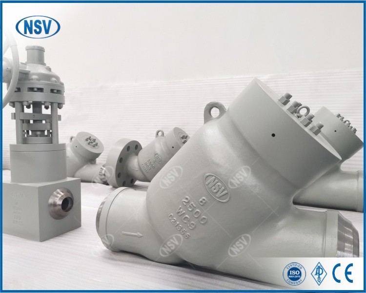 Carbon Steel Y-Type Swing Check Valve best